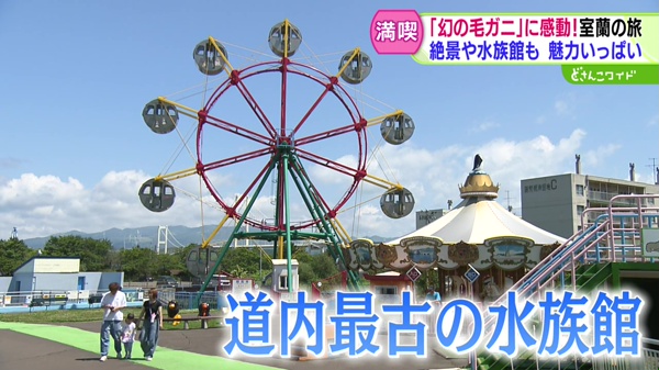 特集