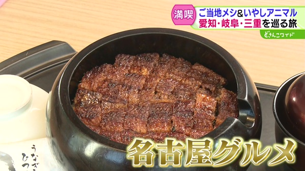 どさんこワイド179 特集画像