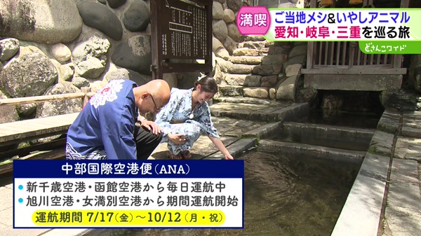 特集
