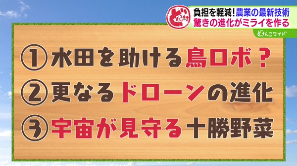 どさんこワイド179 特集画像