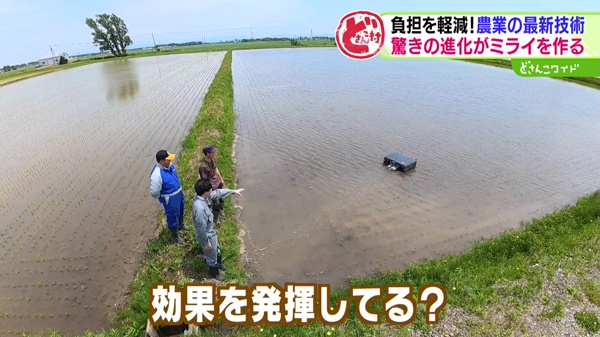 特集