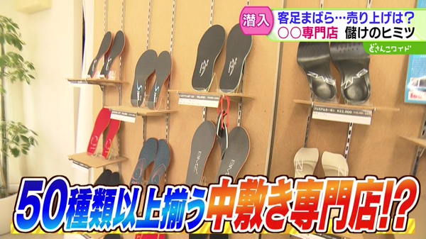 どさんこワイド179 特集画像