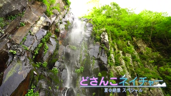 特集画像