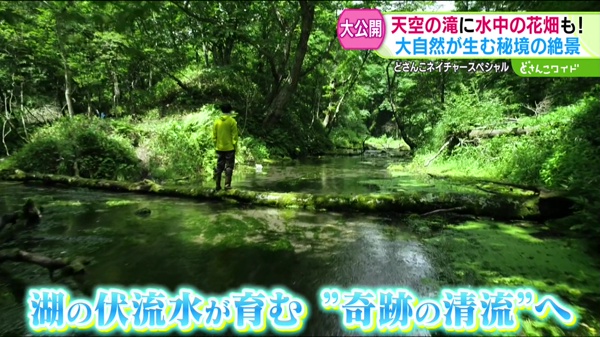 特集