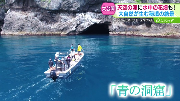 特集