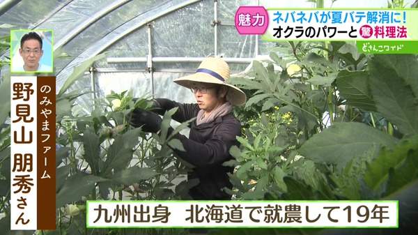 特集画像