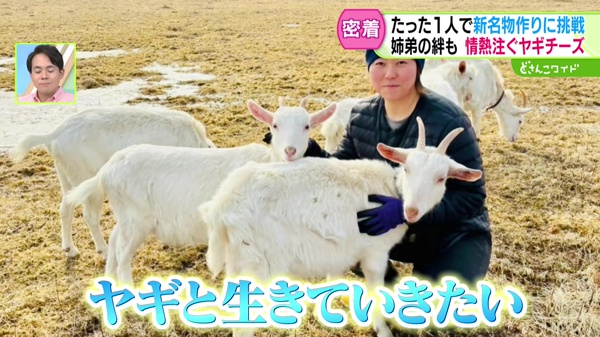 特集画像