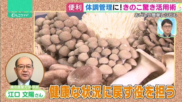 どさんこワイド179 特集画像