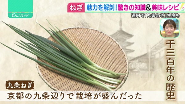 どさんこワイド179 特集画像