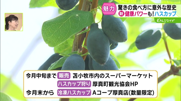 特集画像