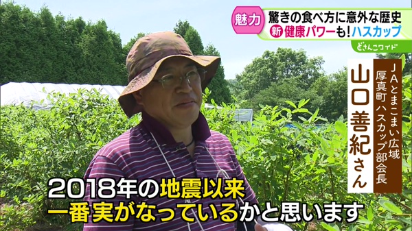 特集