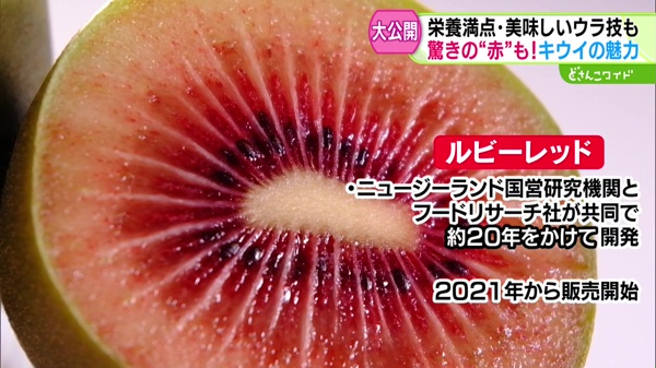 特集