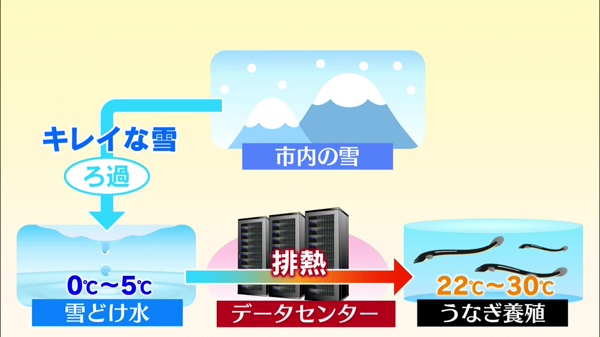 うなぎ養殖に美唄の豪雪が活用