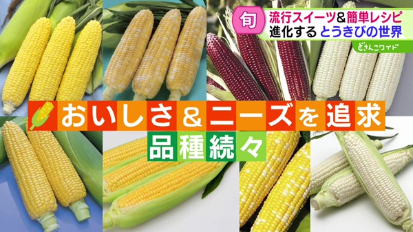 特集