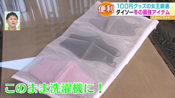 ●洗えるマスク用3ポケット洗濯ネット 110円
