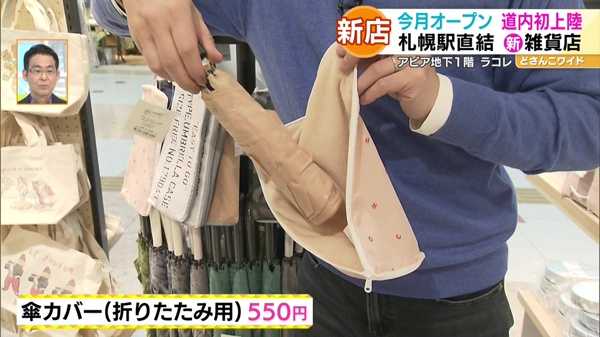 ●傘カバー(折りたたみ用) 550円