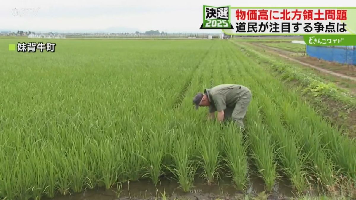 選挙ポイント