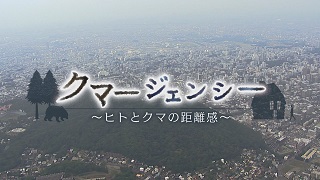 審議対象番組「クマージェンシー〜ヒトとクマの距離感〜」