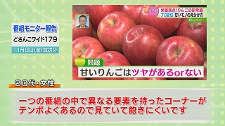 番組モニター報告「どさんこワイド１７９」