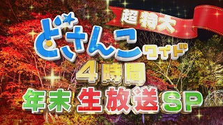 「超特大どさんこワイド ４時間年末生放送ＳＰ」画像