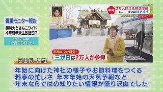 「超特大どさんこワイド ４時間年末生放送ＳＰ」モニター報告（２）画像