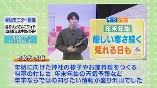 「超特大どさんこワイド ４時間年末生放送ＳＰ」モニター報告（４）画像