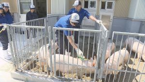 ミライをつくる高校生