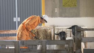 ミライをつくる高校生
