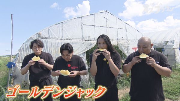 極上フルーツを堪能