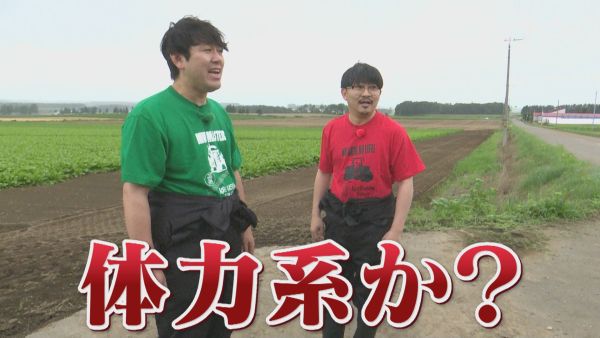 体力系か？