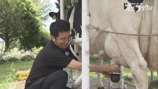 楢原の乳しぼり