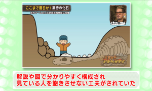 委員の意見（４-３）