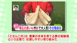 委員の意見（１）
