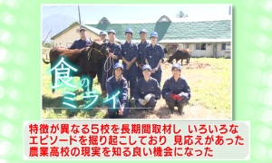 委員の意見(1)