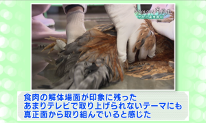 委員の意見(2)