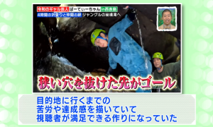 委員の意見(5)