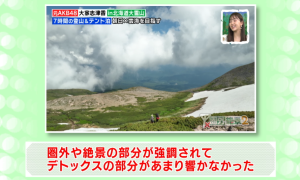 委員の意見(6-1)