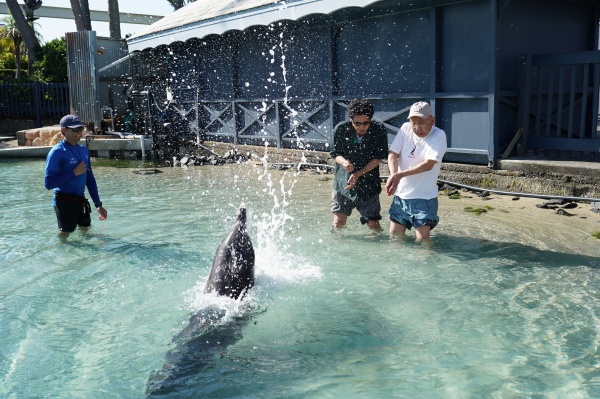 イルカのふれあい体験をするＹＯＹＯ’Ｓ