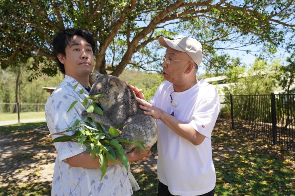 コアラを抱っこ